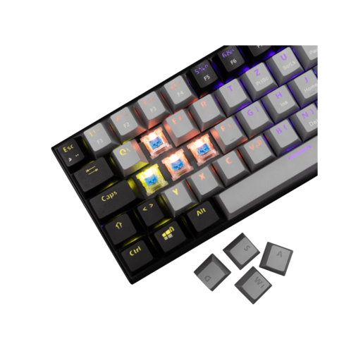 WHITE SHARK gaming tastatura GK-002722V2 WAKIZASHI-2 / Sivo-crna HR-BLUE SWiTCH