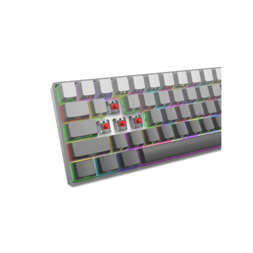 WHITE SHARK gaming tastatura GK-007711 NUNCHAKU Siva Gradient - Mehanička / US - RED SWiTCH