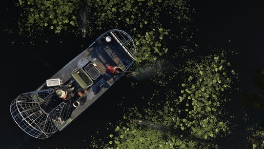 GTA 6 (Grand Theft Auto VI) PS5