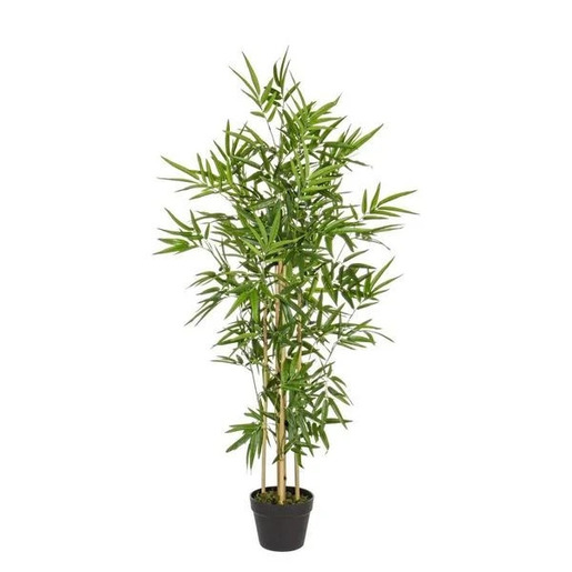BIZZOTTO bambus 130cm lončanica