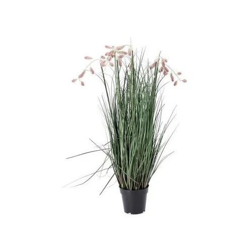 BIZZOTTO grevillea 100cm lončanica roza
