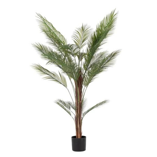 BIZZOTTO kenzia 180cm lončanica