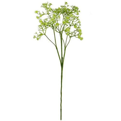 BIZZOTTO dekorativni cvijet gipsofila 70cm zelena