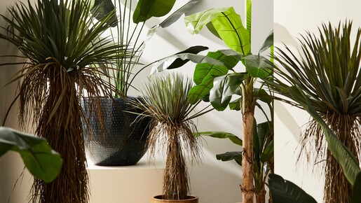 BIZZOTTO maslina 90cm pvc