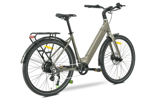 MS Energy električni bicikl Zorya Bronze