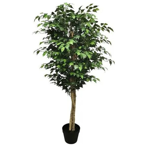 Fikus 180 cm zeleni PVC