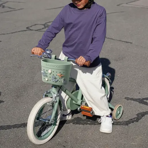 Banwood Pin & Ride ukrasni pinovi - Dinosaurs