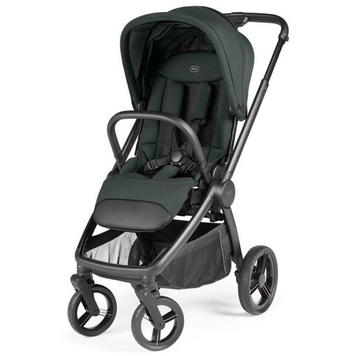 Peg Perego dječja kolica City Loop PRO Metal