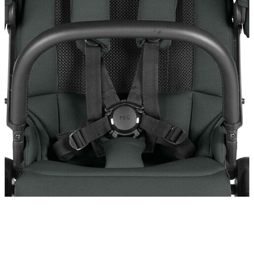 Peg Perego dječja kolica City Loop PRO Metal