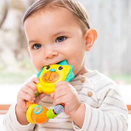 Infantino glodalica Lav