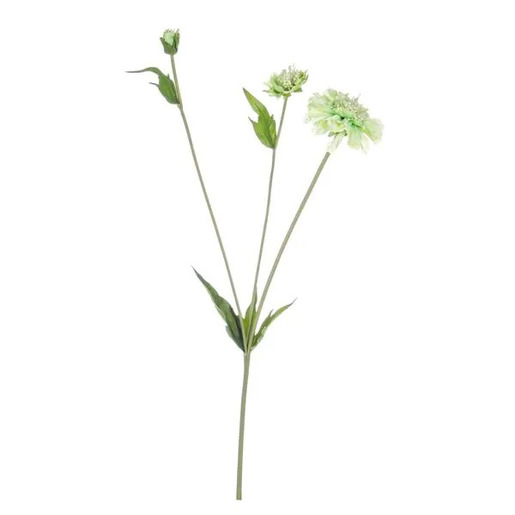 Bizzotto umjetna skabioza 51 cm, zelena