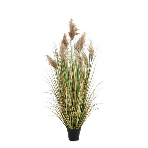Bizzotto umjetni pampas Gynerium 150 cm