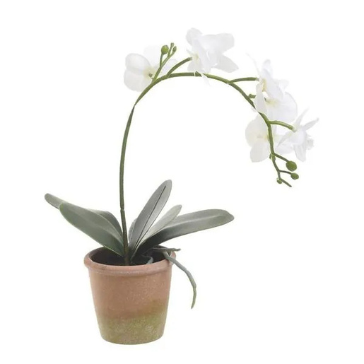 INART umjetna orhideja 33 cm, bijela