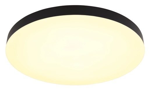 Globo plafonjera crna mat LED 12384-50