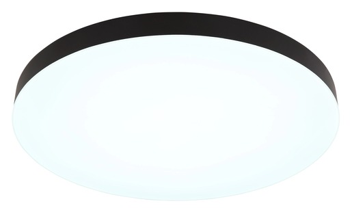 Globo plafonjera crna mat LED 12384-50