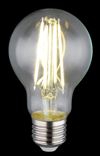 Globo LED sijalica 10582CK
