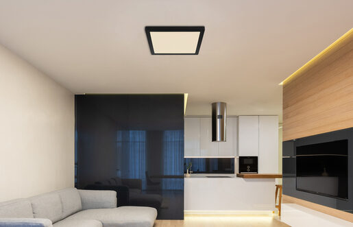 Globo plafonjera Lasse led crna 24 W LED 12380-24B