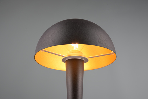 Globo stolna lampa Canaria R59561180