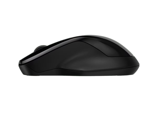 HP 250 Dual bežični miš