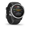 GARMIN Fenix 6S pametni sat / Silver