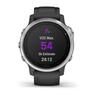 GARMIN Fenix 6S pametni sat / Silver