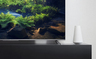 TCL LED televizor 50P715, 4K Ultra HD, Android, Smart
