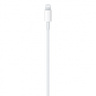 Apple USB-C to Lightning Cable (2m)