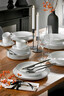 Seltmann Weiden set tanjira Lido Black Line 12/1 porculan