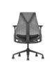 Herman Miller Sayl, stolica