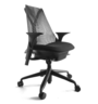 Herman Miller Sayl, stolica