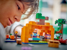 LEGO Minecraft Farma bundeva 21248
