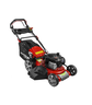 Praktik Garden samohodna motorna kosilica 4u1 Briggs & Stratton motor 625E PG65404
