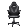 Trust gaming stolica GXT 703 RIYE, crna boja