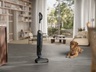 ELECTROLUX štapni usisivač EW81U3DB 800 Wet&Dry, vrijeme rada do 35 min.