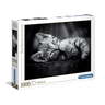 CL39422 Clementoni puzzle 1000 KITTY