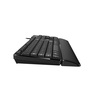 GENIUS tastatura Smart KB-100XP USB