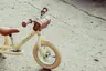 Trybike Balans bicikl 2u1 - Steel Vintage Cream Matt