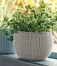 KETER Saksije 15x15x10 COZIES TRIO