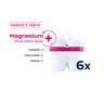 BWT zamjenski filter za bokal za vodu sa magnezijem – 6 kom