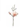 Umjetni cvijet Magnolija Luminosa Apricot, 42cm
