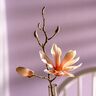 Umjetni cvijet Magnolija Luminosa Apricot, 42cm
