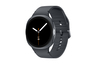 Samsung Watch8 44mm SM-L330NDAAEUC gray