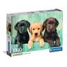 CLEMENTONI CL39946  PUZZLE 1000 HQC TRI LABRADORA
