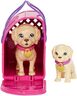 Barbie Pup Adoption – set za udomljavanje štenaca + lutka