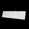 GENIUS SlimStar 126 tastatura  USB veza, low-profile tipke, bijela