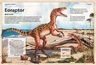 Nevjerovatna knjiga dinosaura - knjiga za djecu