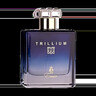 Paris Corner Emir Trillium Eau de Parfum 100 ml – muški parfem