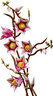 LEGO® Botanicals Grane magnolije 11510
