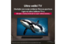 LG TV LED 50UA74003LB, 4K UHD, Smart TV, WebOS 25, α7 AI Processor 4K Gen8, HDR10, Crni