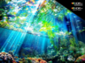 SAMSUNG Micro RGB televizor MRE55R85HAUXXH, 4K Ultra HD, Smart TV, Tizen™, NQ4 AI procesor, Motion Xcelerator 144Hz, Dolby Atmos®, Crni